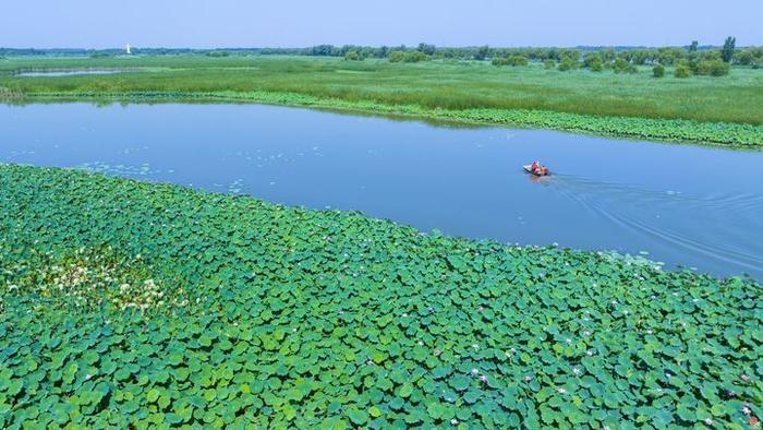 诗意白云湖 盛夏文旅季 ——水乡白云向您邀约