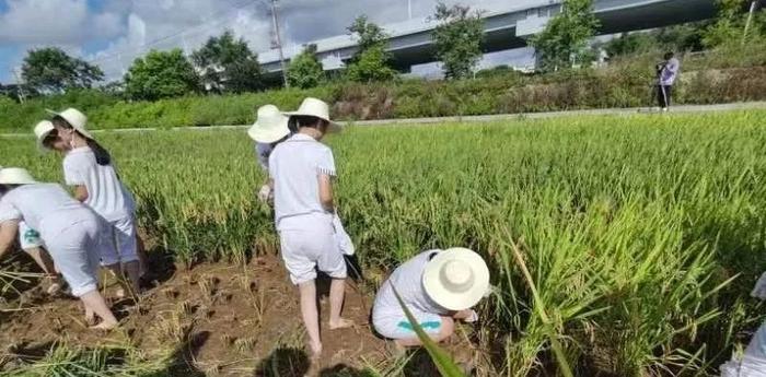 粤东首个！在汕头投入运营｜汕头，早上好