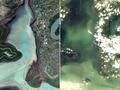 洞庭湖遭洪水涌入前后卫星影像对比图：大片草甸、陆地被完全淹没