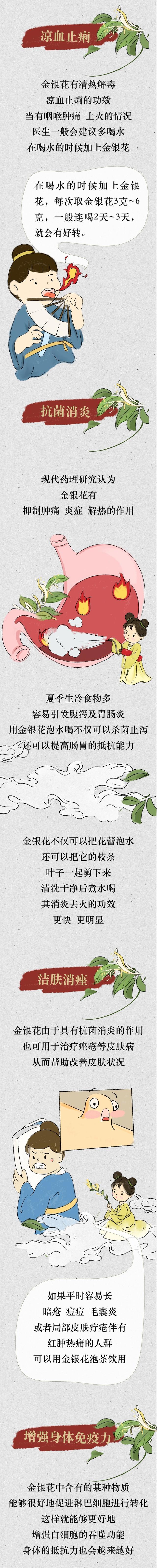 “夏季第一花”好处多多，不知道就亏大了！