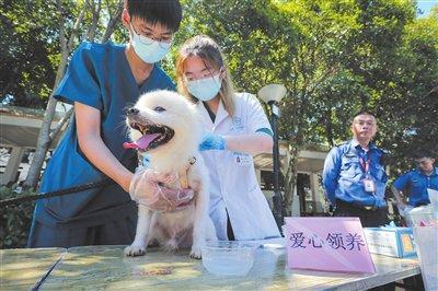 爱宠有道 文明养犬