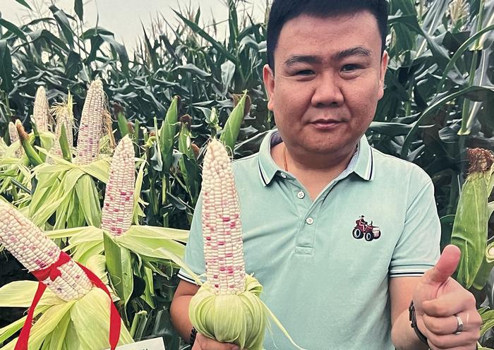 第十届中国(武清)北方鲜食玉米大会成功举办 现场展示鲜食玉米新品种410个