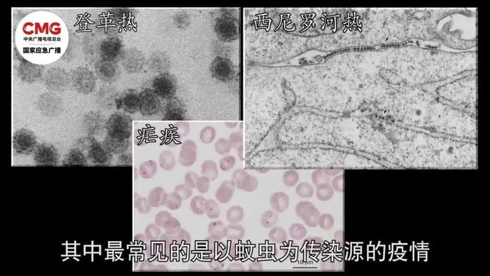 洪水泡过的食物还能吃吗？专家提醒洪水过后这4类传染病要预防