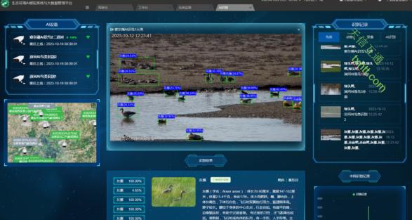 人工智能（AI）鸟类监测识别系统