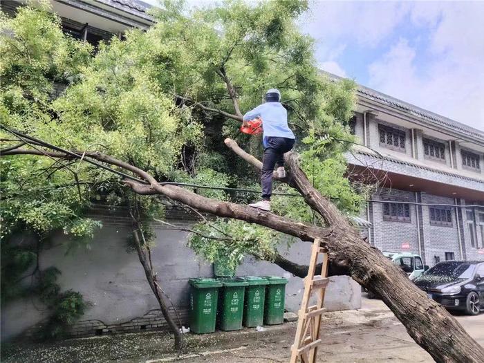 及时清理“拦路虎”  保障居民“平安行”