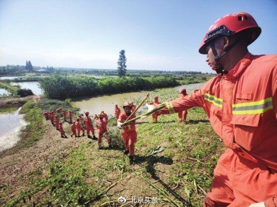 8年前的“卡车敢死队”，这一次又坚定地踩下了油门