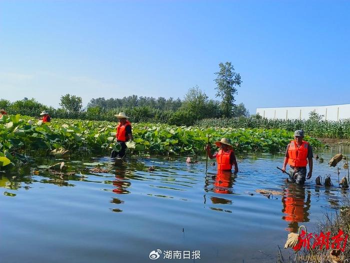 “如果脚脖子感觉到有凉水冒出来，就可能是险情”