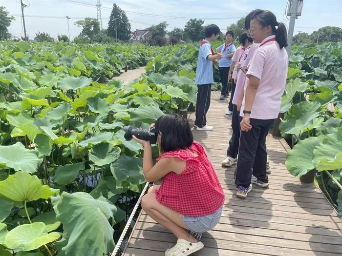 听新闻课、拍摄初体验……暑期get新技能，漕泾镇这群中学生化身“小记者”