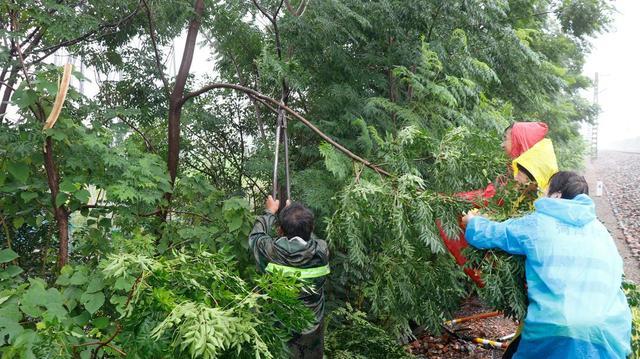 国铁济南局聊城工务段：鏖战铁路抗洪保畅通