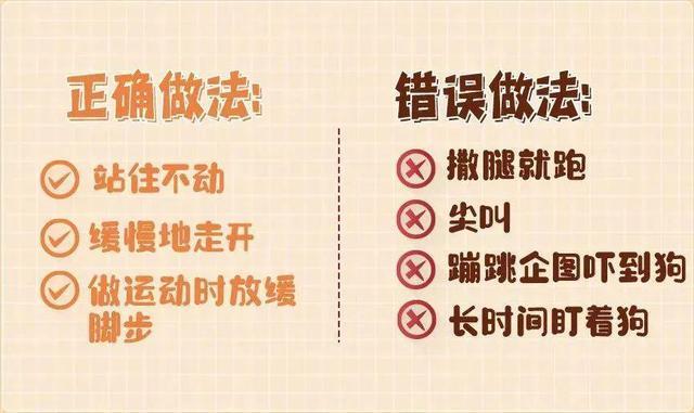 热闻|老人小孩都被咬！一小区内流浪狗攻击多人，路遇恶狗袭击怎么办？