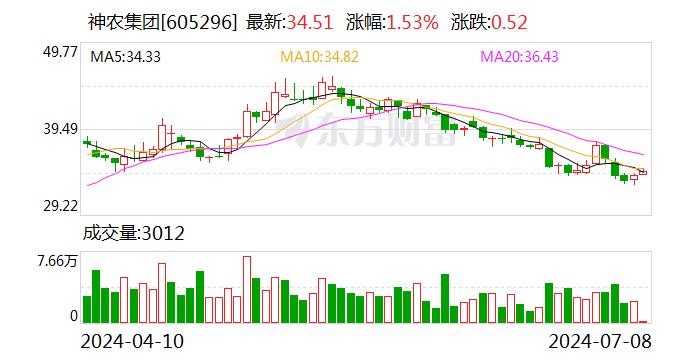 神农集团前6个月销售生猪收入19.41亿元