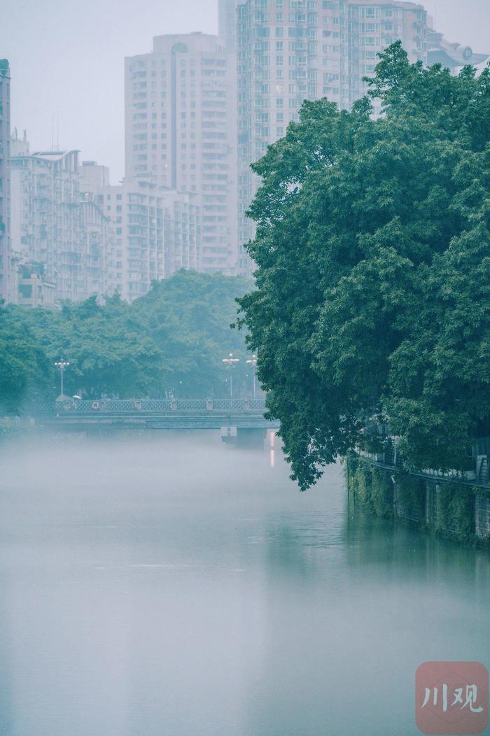 C视频｜薄雾绕锦江 阁楼朦胧烟雨中