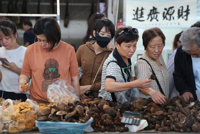 神州风物丨彩云之南寻“菌”季