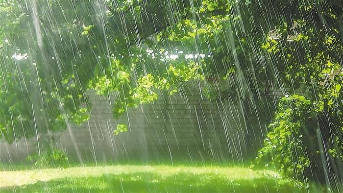 夏天，乡村雨韵