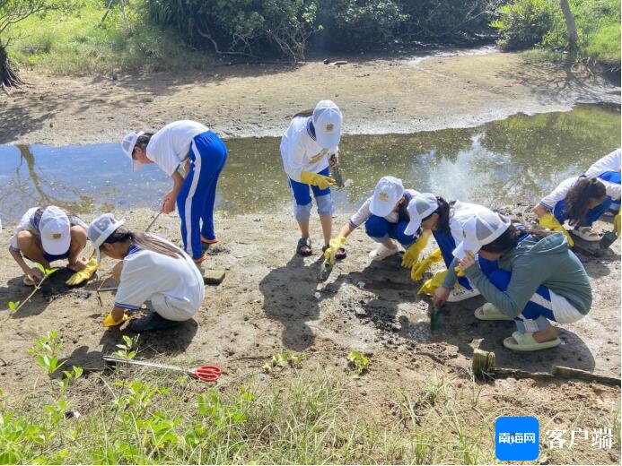 2024年海南铜鼓岭国家级自然保护区中小学生生态文化研学活动举行