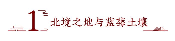 坐标53°N，在漠河寻中国“极北之酿”