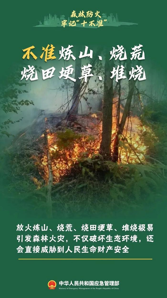 最新！市森林防灭火指挥部发布工作提示函