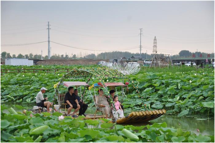 濉溪县百善镇荷塘月色趣园美景迎客来