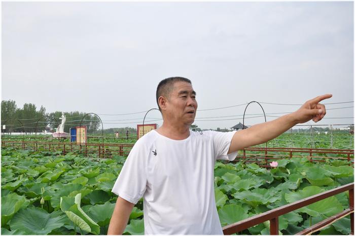 濉溪县百善镇荷塘月色趣园美景迎客来