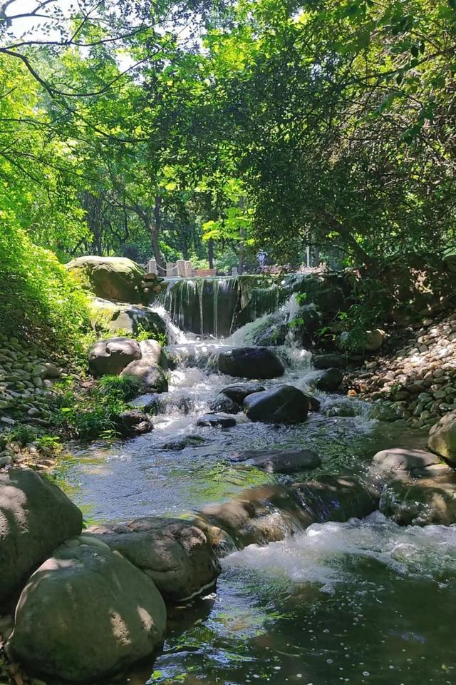 上海鲜为人知的避暑好去处！就在这个溯溪胜地、竹林秘境→