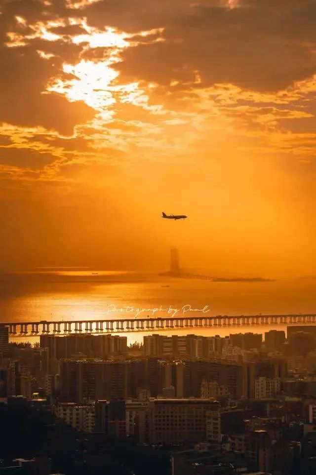 △图源：滨海宝安