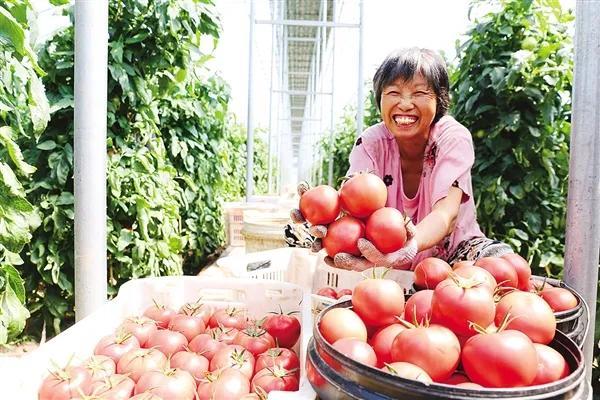 祁县学习运用“千万工程”经验有力有效推进乡村全面振兴