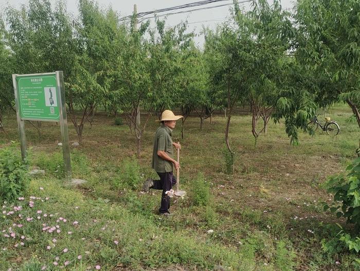 北京市顺义区北小营镇持续推进“五边整治”，增色村庄颜值