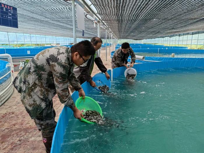 好山好水养好鱼 上半年河池水产品产量达4.06万吨