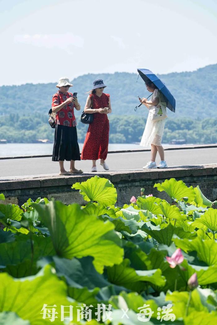 就在刚刚，减弱！今天杭州暂停发布！雷阵雨下午回归，一来就是7天！这天气温竟降到……