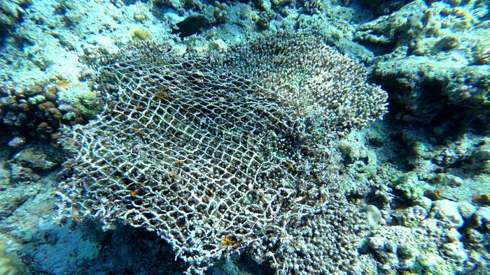 科考报告：菲方军舰长期非法“坐滩”，已严重破坏仁爱礁珊瑚礁生态系统