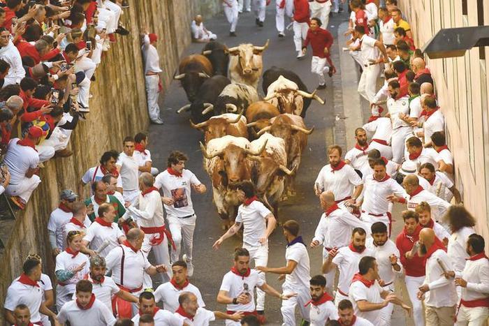 西班牙：  庆祝“圣费尔明”节