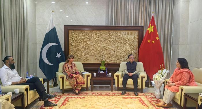 杨广元公参会见巴基斯坦联邦参议员泽赫里等巴方代表