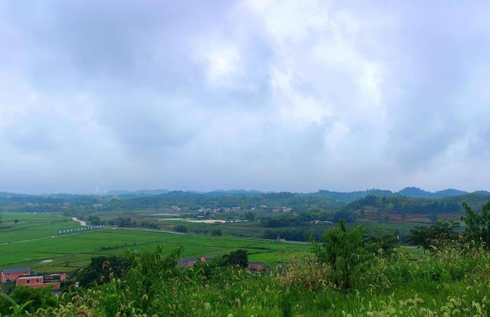 防范应对巨灾风险，助力粮食保产增收