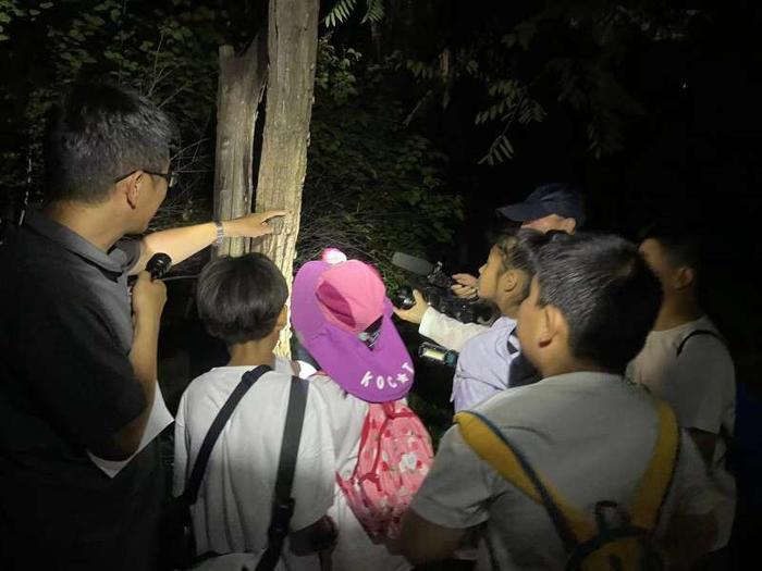 探秘夜幕下的自然奥秘，百余小学生在北京市少年宫夜游植物园