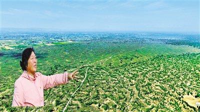 多为地球种下一片