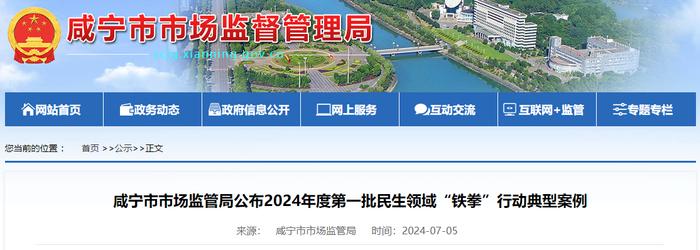 湖北省咸宁市市场监管局公布2024年度第一批民生领域“铁拳”行动典型案例