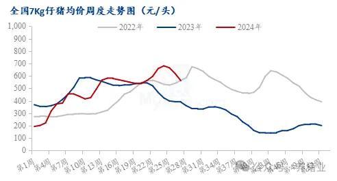 上半年行情走高 2024下半年猪价怎么走？