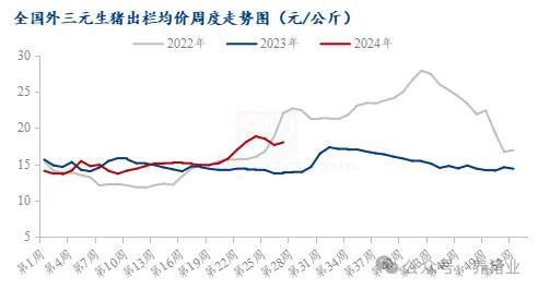 上半年行情走高 2024下半年猪价怎么走？