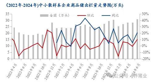 上半年行情走高 2024下半年猪价怎么走？