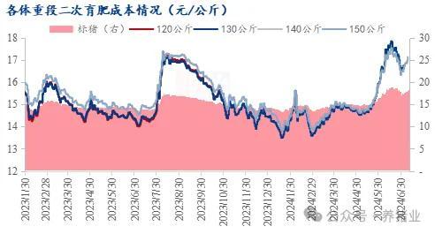 上半年行情走高 2024下半年猪价怎么走？