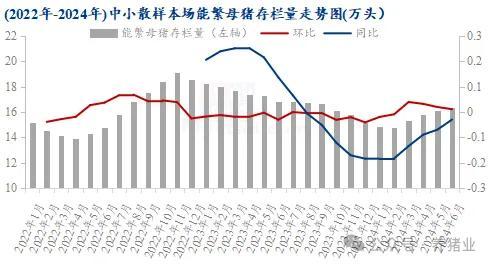 上半年行情走高 2024下半年猪价怎么走？