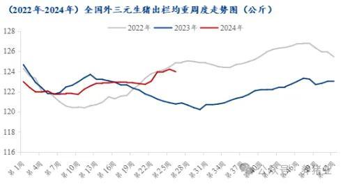 上半年行情走高 2024下半年猪价怎么走？