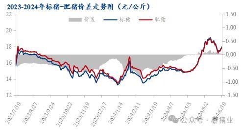 上半年行情走高 2024下半年猪价怎么走？