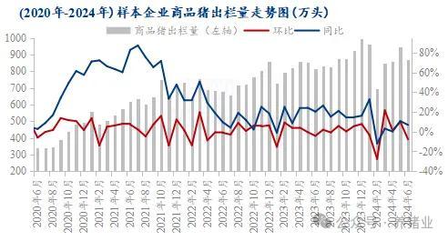 上半年行情走高 2024下半年猪价怎么走？