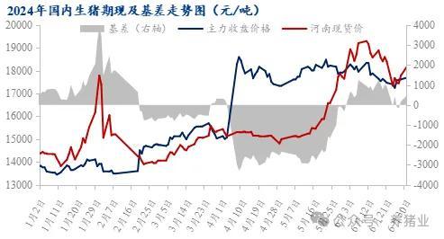 上半年行情走高 2024下半年猪价怎么走？