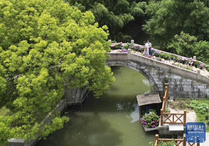 夏日乡村美景引游人