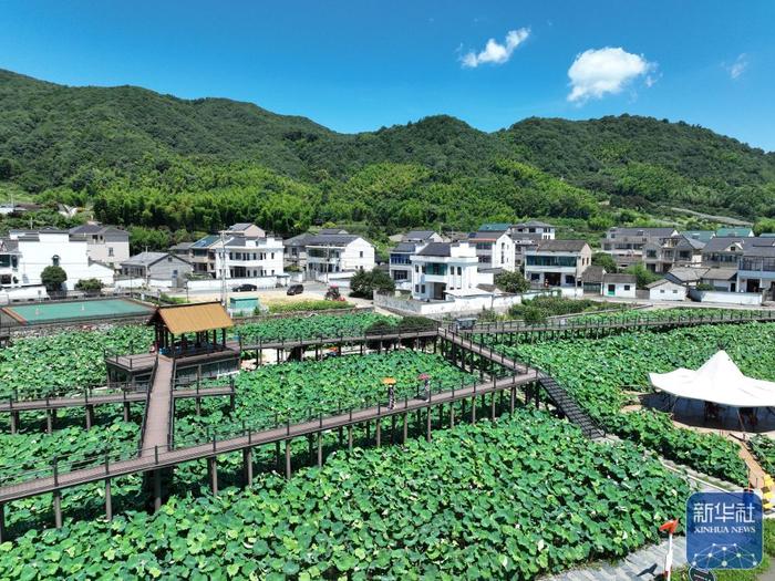 夏日乡村美景引游人