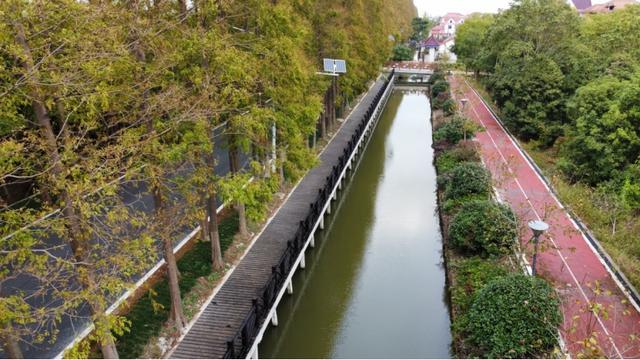 党建引领聚合力 科学规划谋发展——崇明区竖新镇跃进村奋力打造和美乡村生活圈