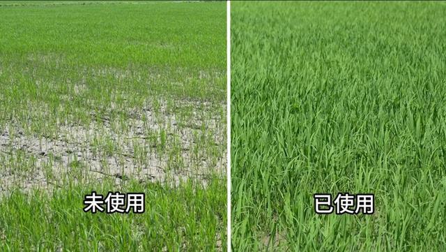 种养殖末端资源“变废为宝”，金山区积极探索绿色种养循环模式→