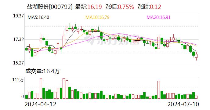 锂盐龙头上半年补税6.66亿元，受牵连公司表示不认同